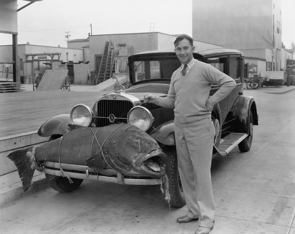 Monitoring GPS paczek, czyli jak zabezpieczyć przesyłkę przed zaginięciem?